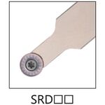 SRDCN
